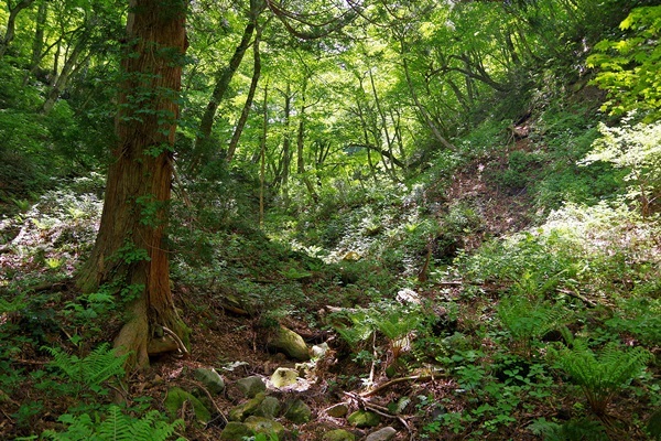 b0312736_07071031.jpg