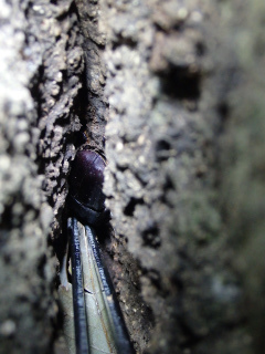 f0104042_21455195.jpg