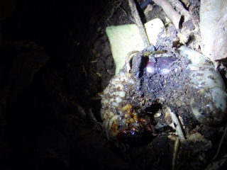 f0104042_21455870.jpg