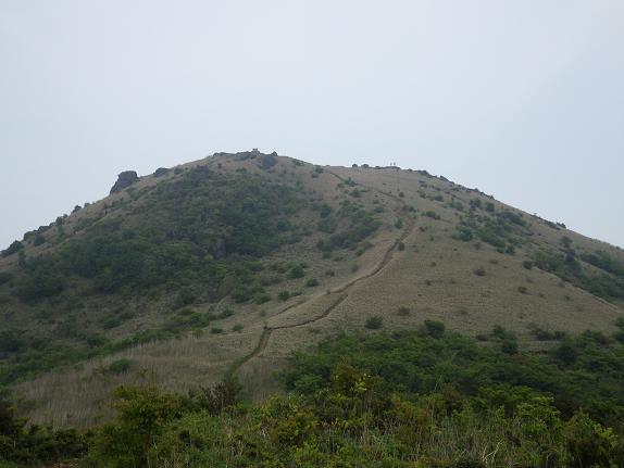 e0164643_1630335.jpg