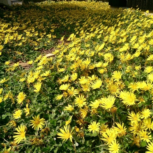 f0341250_00322509.jpg