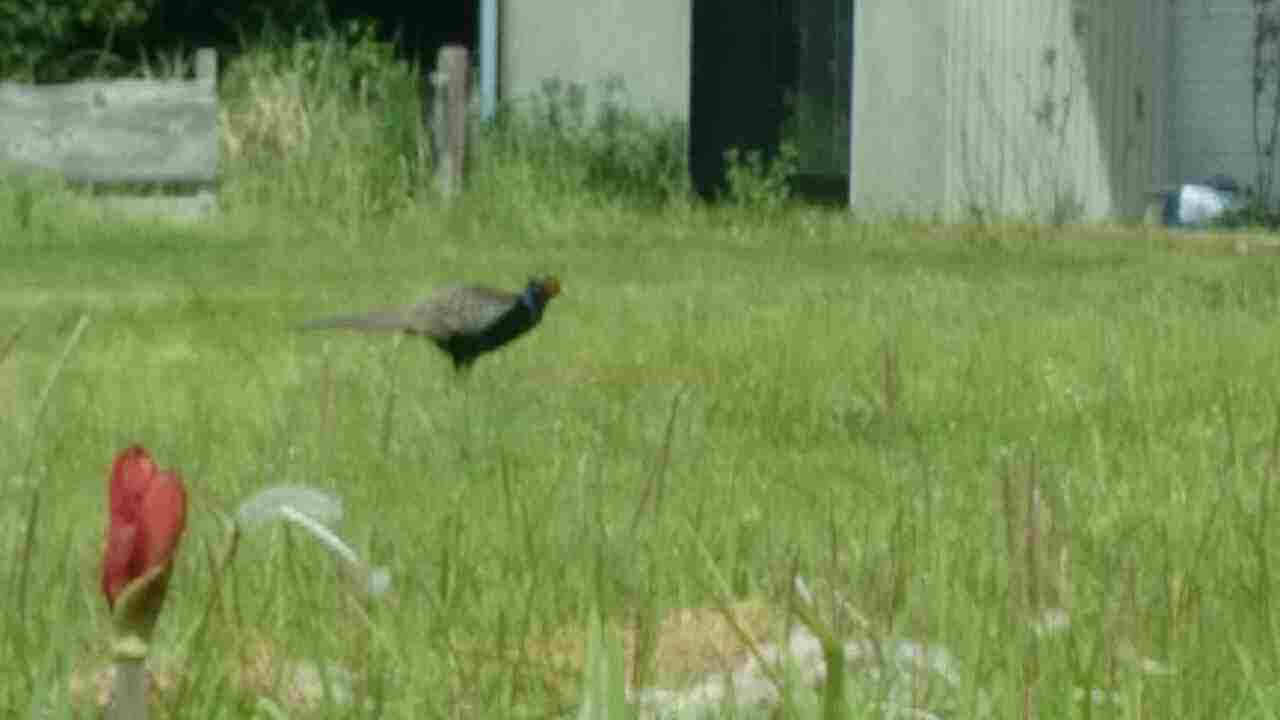 a0248152_8413223.jpg