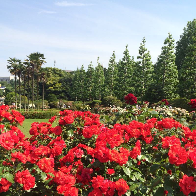 d0107660_1642110.jpg