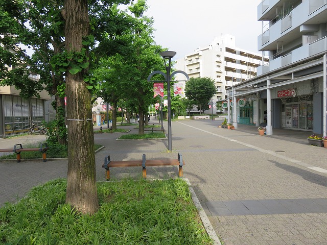 b0096463_15383892.jpg