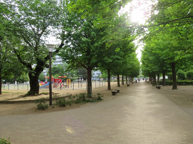 b0096463_15385760.jpg