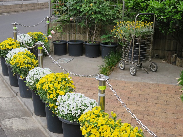 b0096463_15401339.jpg
