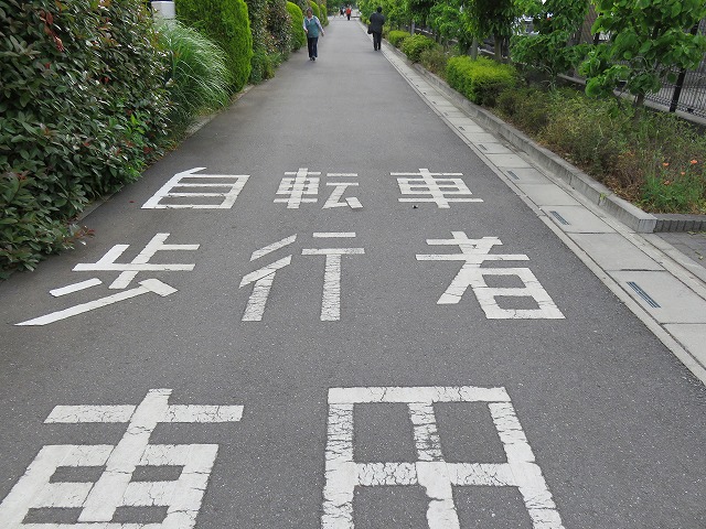 b0096463_15403138.jpg