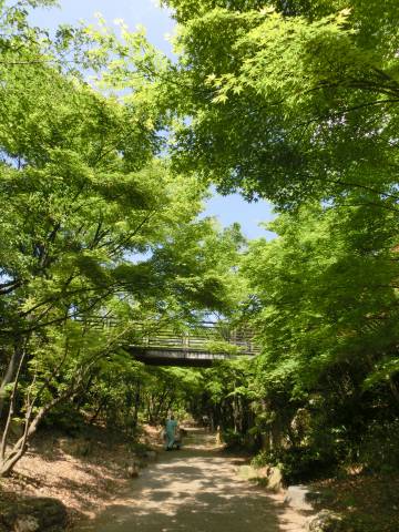 e0045768_23121822.jpg