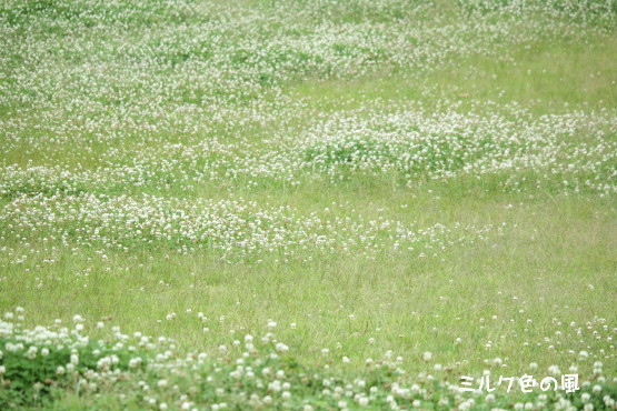 c0368870_08335285.jpg
