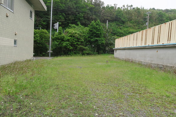 e0292172_2037821.jpg