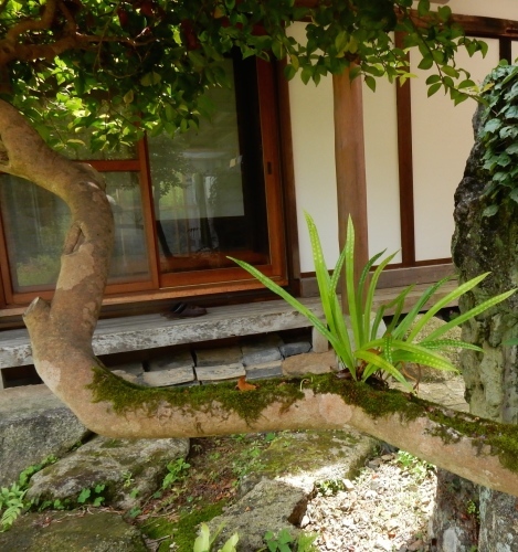 f0054677_08365586.jpg