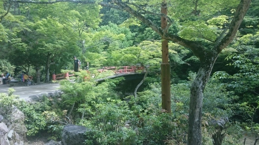 c0325278_15353562.jpg