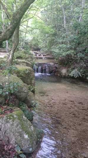 c0325278_15363788.jpg