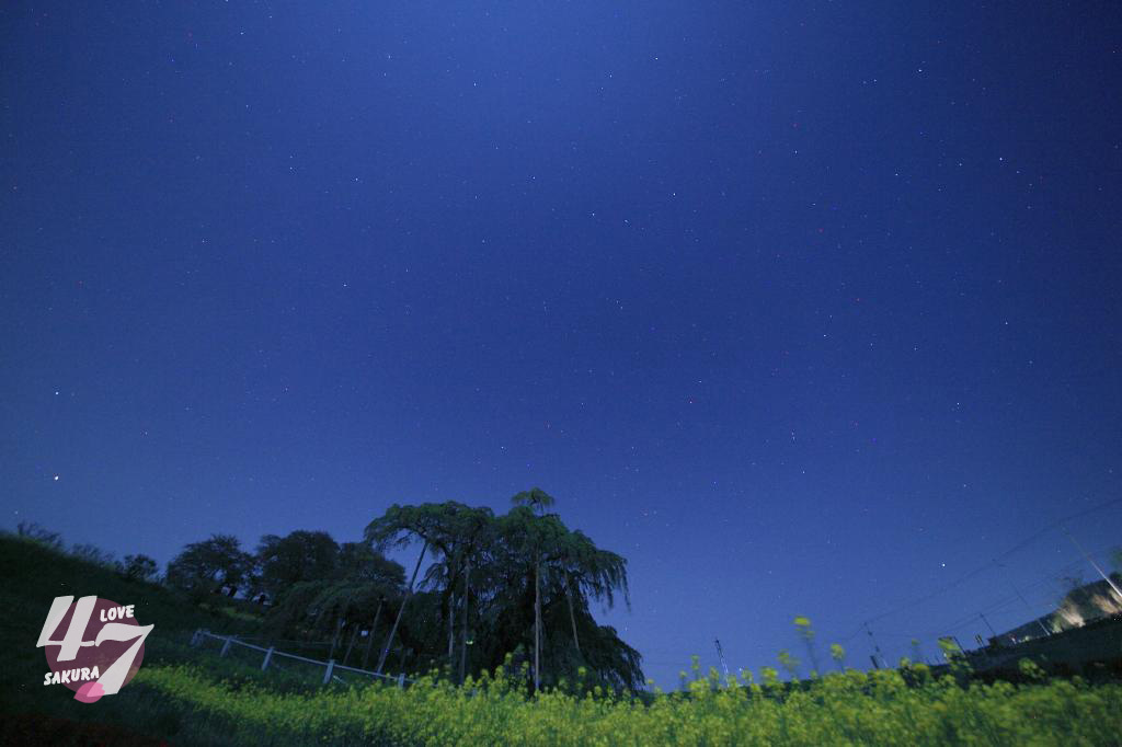 c0356480_20214461.jpg