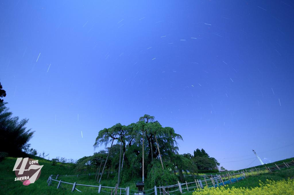c0356480_20214469.jpg