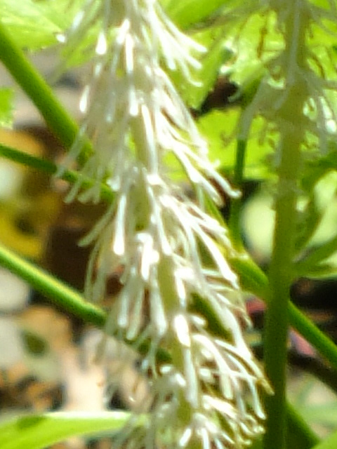 e0145782_2165581.jpg