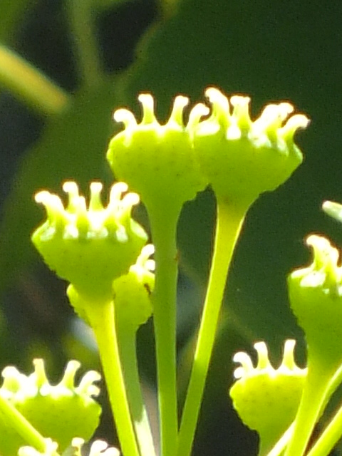 e0145782_21814.jpg
