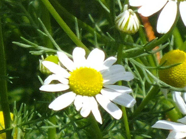 e0145782_234013.jpg