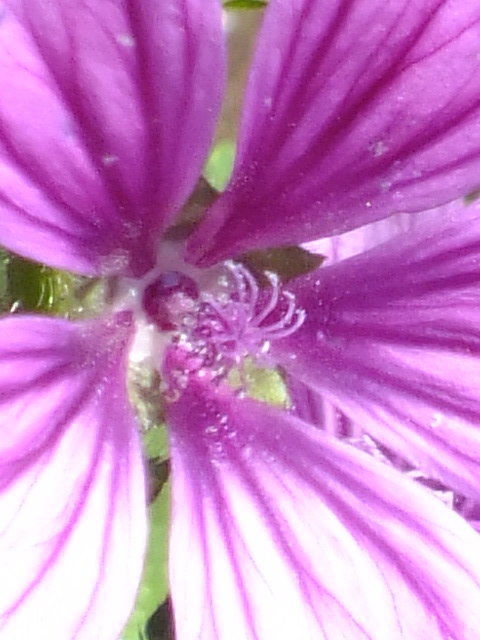 e0145782_2422654.jpg