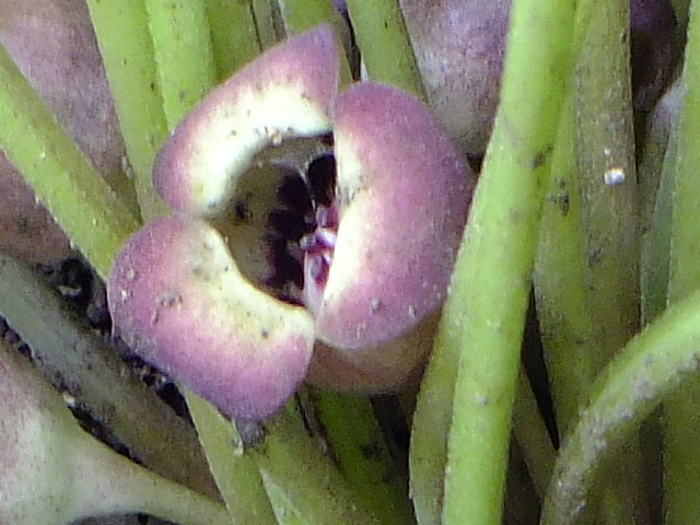 e0145782_2484998.jpg