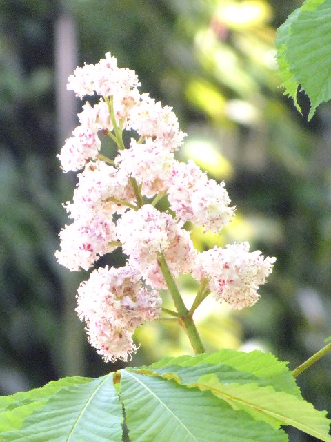 e0145782_3574164.jpg