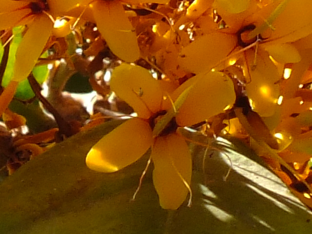 e0145782_4113451.jpg