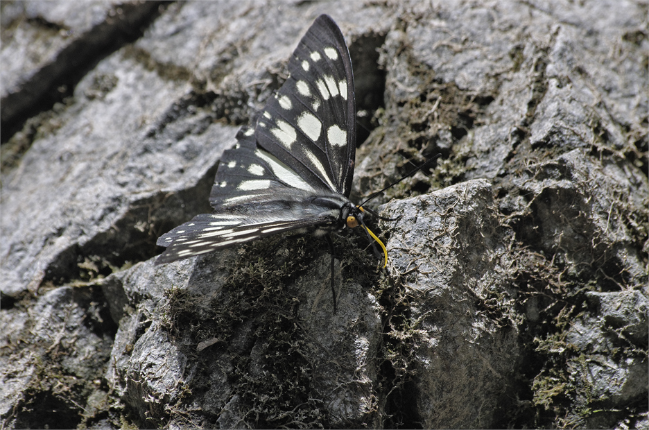 d0209988_18522730.jpg