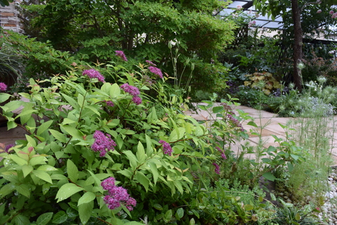 b0230589_2245867.jpg