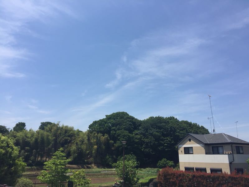d0135694_3124865.jpg