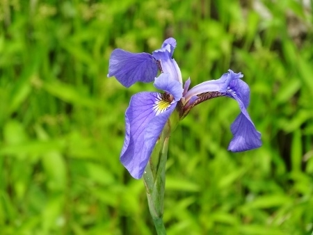 a0125598_21241479.jpg