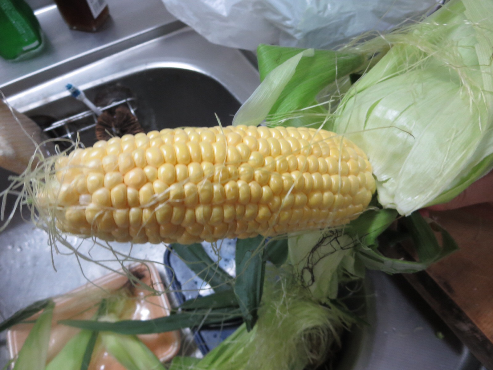 f0013998_20343421.jpg