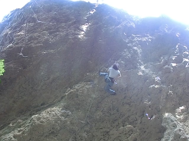 d0151699_21561473.jpg