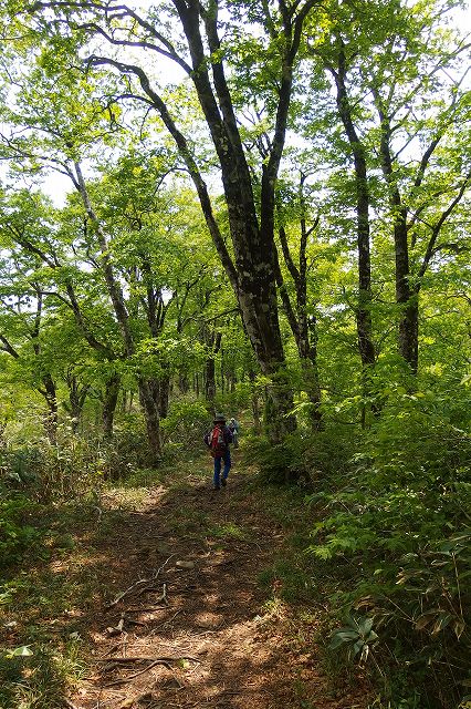e0137200_221064.jpg