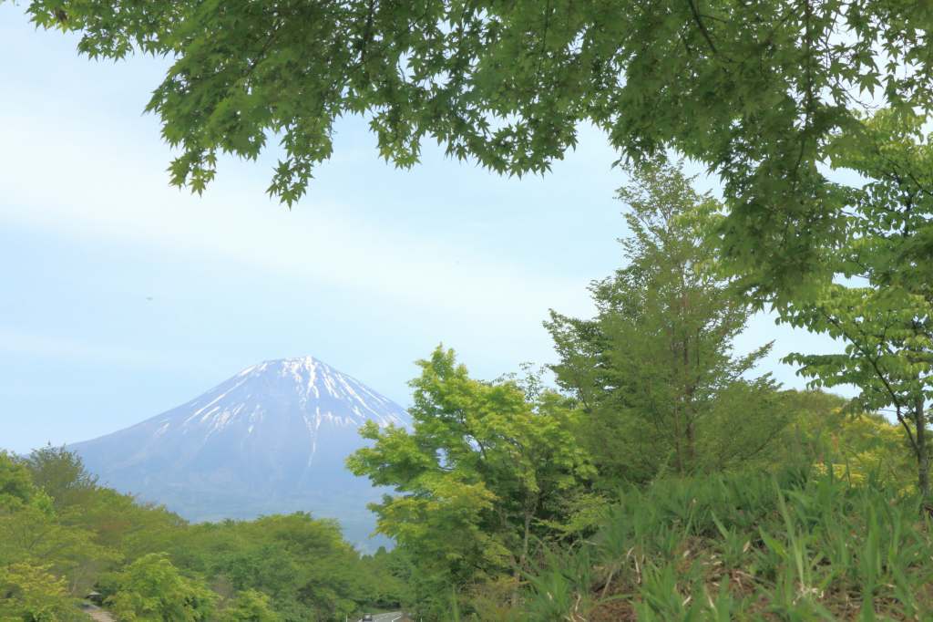 a0188405_23493320.jpg