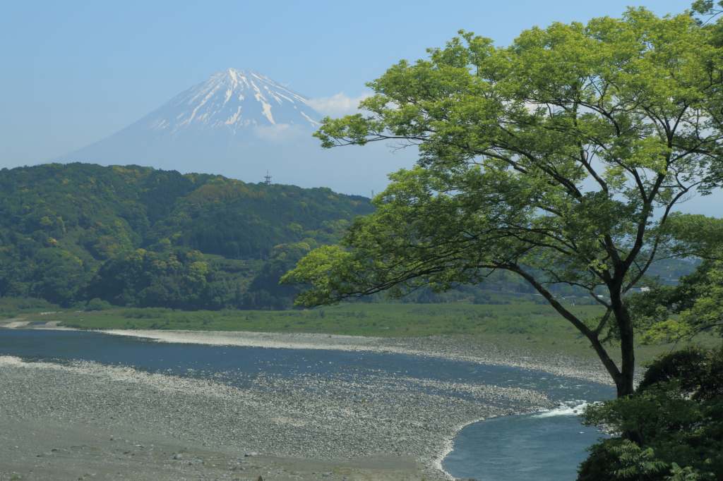 a0188405_23511500.jpg