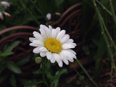 f0162908_21181616.jpg