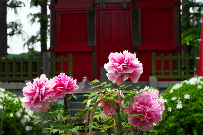 a0263109_10534017.jpg