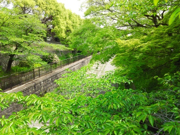 e0033713_19212150.jpg