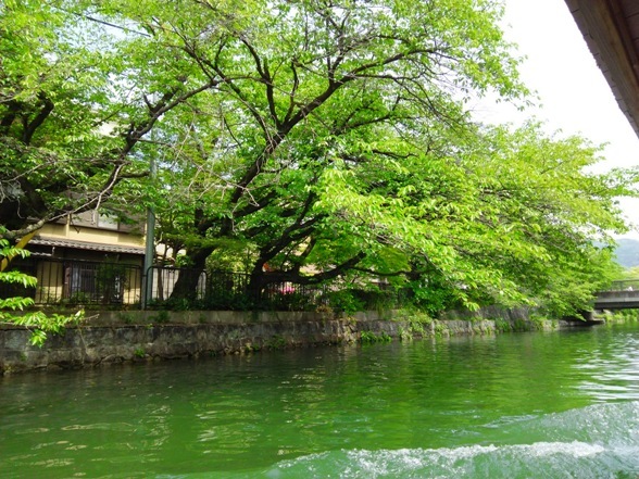 e0033713_20020719.jpg