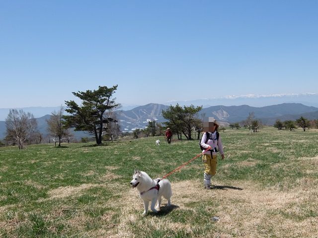 b0207615_00042617.jpg