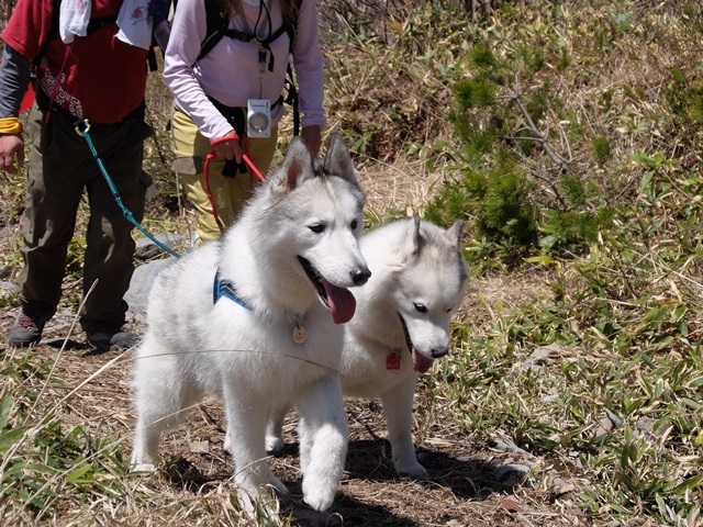 b0207615_00043111.jpg