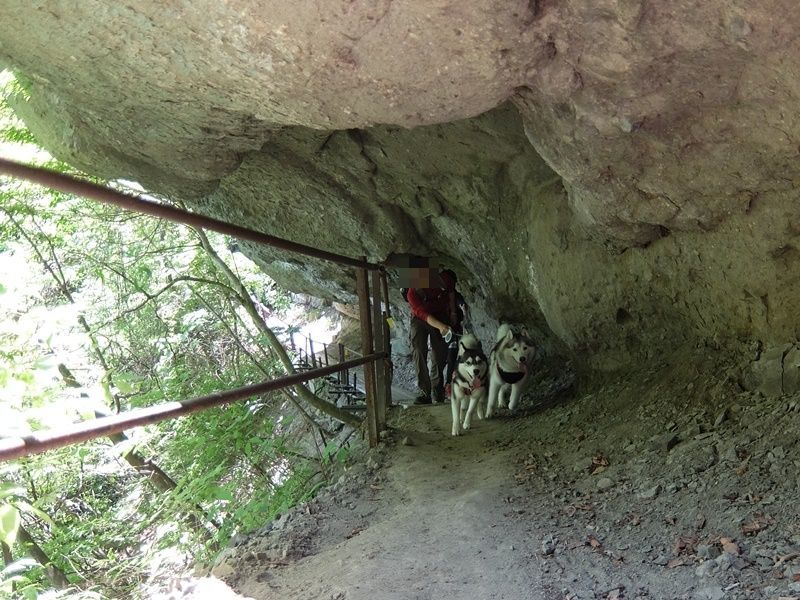 b0207615_22293899.jpg