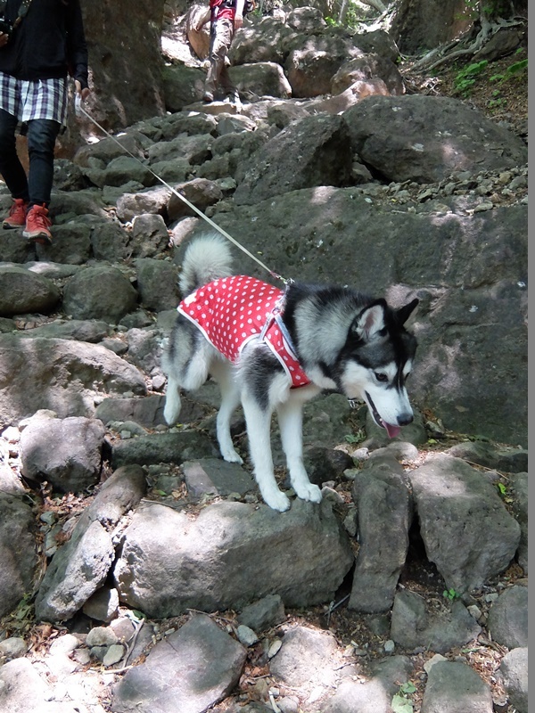b0207615_22300000.jpg
