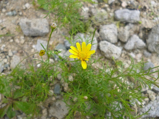 f0228619_0324699.jpg