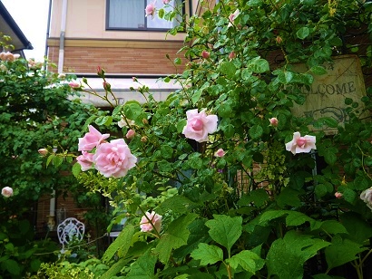 c0204121_20522845.jpg