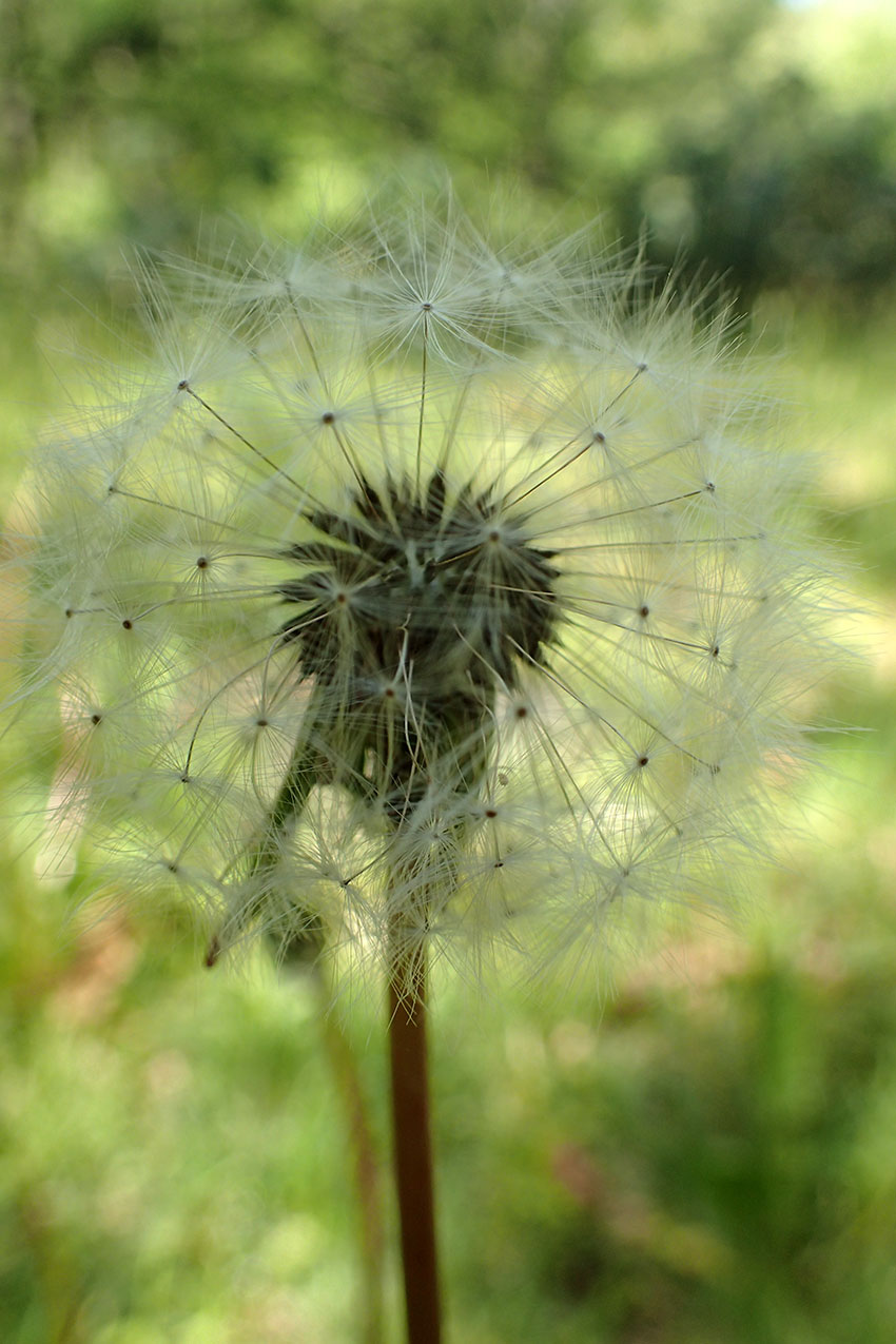 c0064025_14301597.jpg