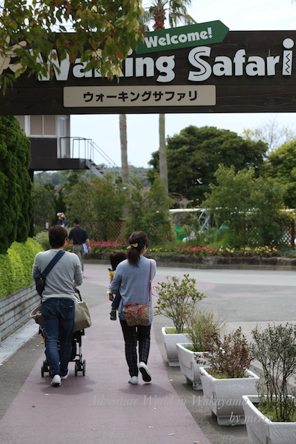a0207736_22482887.jpg