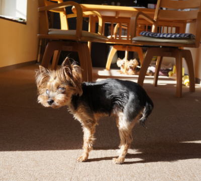 b0001440_13521841.jpg