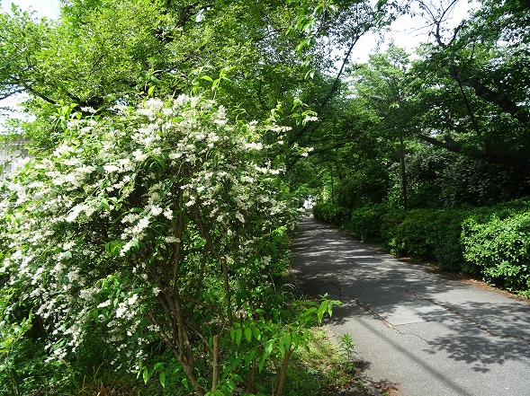 b0299042_1611242.jpg
