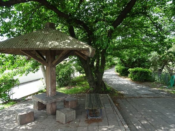 b0299042_16113100.jpg